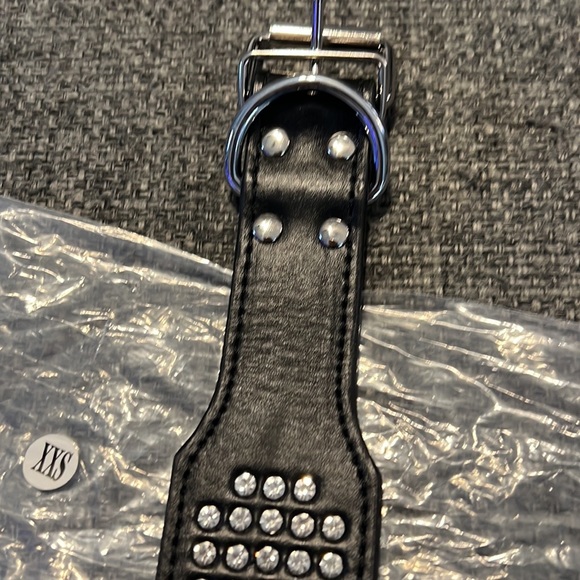 Give your Dog some BLING! - Picture 6 of 7